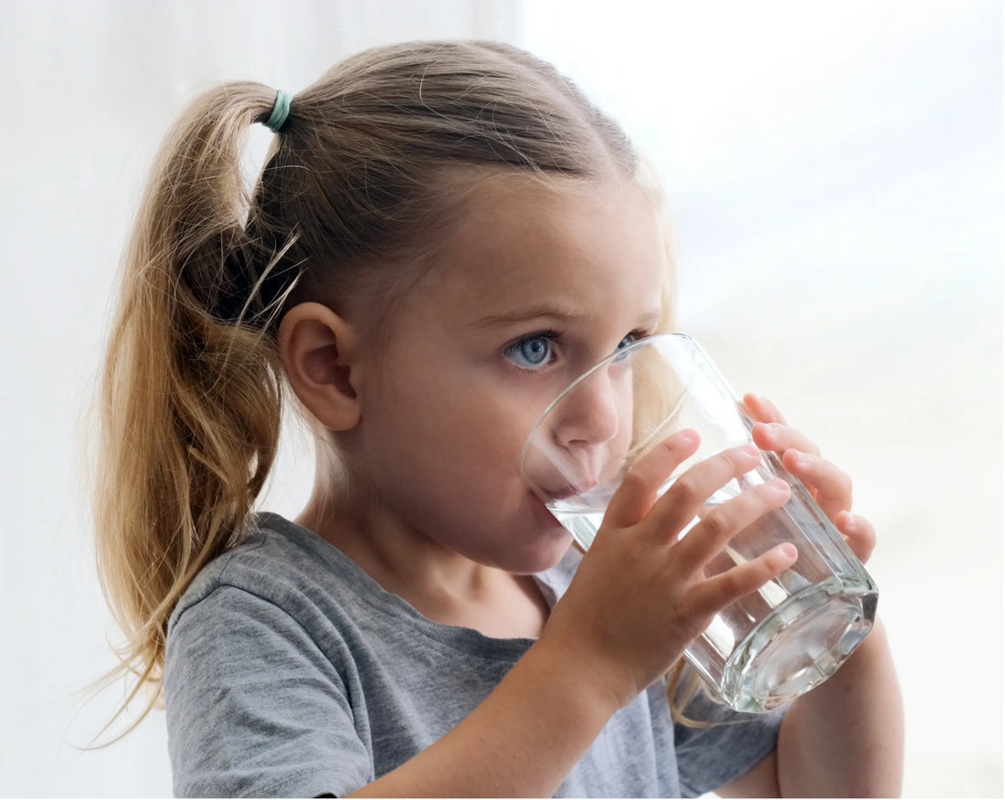 SU ARITMA CİHAZI HAKKINDA HER ŞEY! Tetsu Arıtma