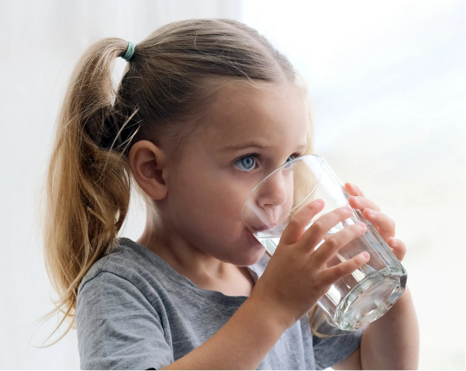 SU ARITMA CİHAZI HAKKINDA HER ŞEY! Tetsu Arıtma